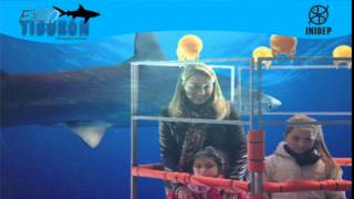 DIA 2 Expo Tiburon205