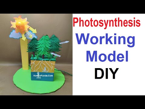 photosynthesis working model 3d science project exhibition diy craftpiller