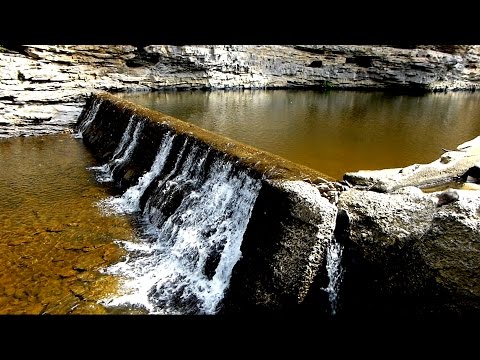 The Diacu Family - Este-un drum plin de lumină