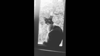 Sticky Fingers - Amillionite ( piano cover)