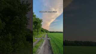 Download lagu Stinky - Cinta suci #nostalgiajamandulu mp3