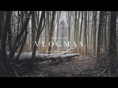 A very gentle vlogmas — December 4, 2021