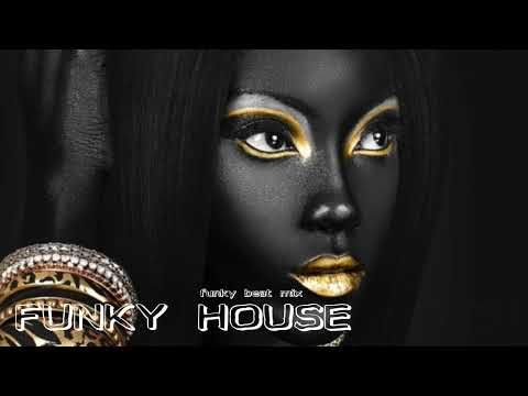 Funky House Mix 2022 / #1 / Mixed By Funky Beat