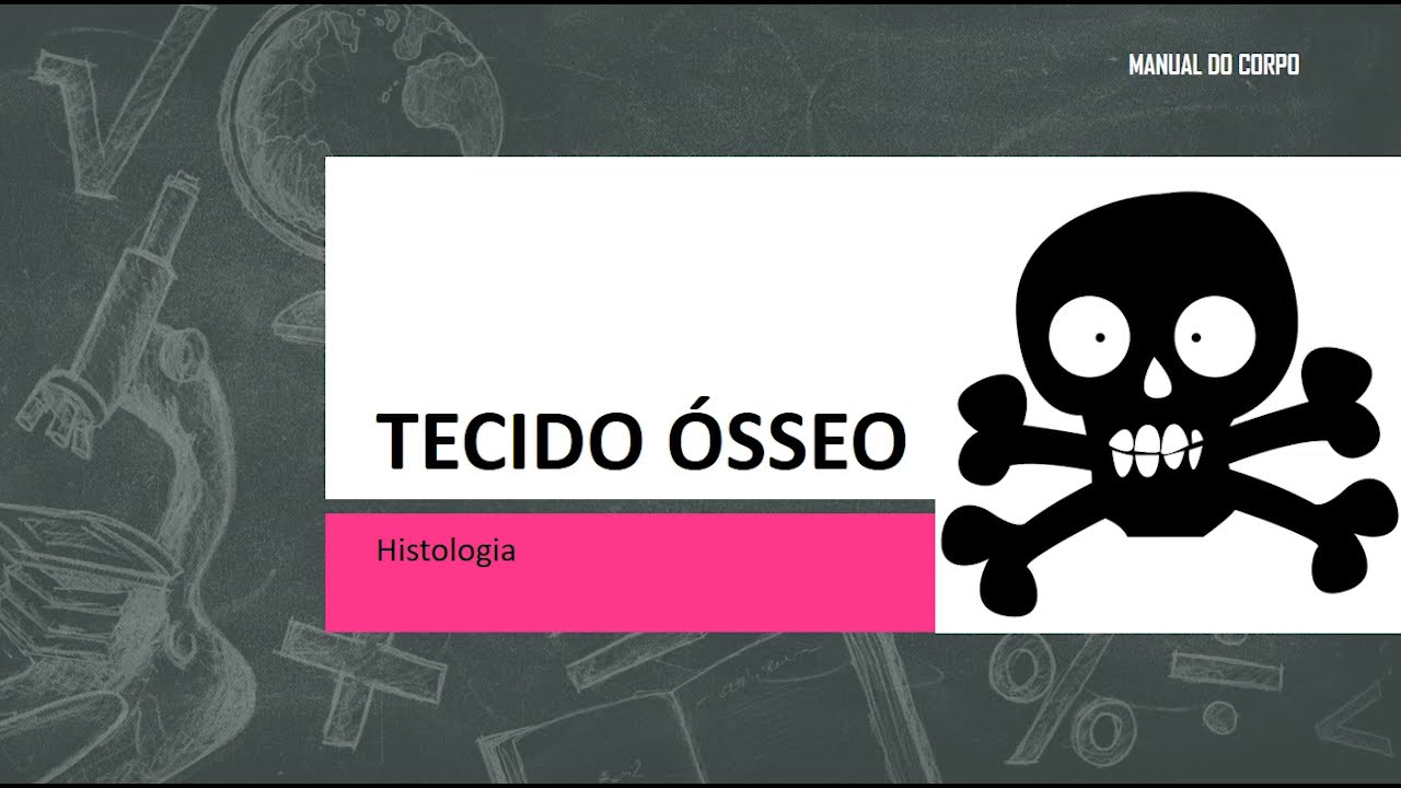 4 - Histologia do Tecido Ósseo - Ósteon, canal de havers, medula óssea, osteoblastos, osteoclastos