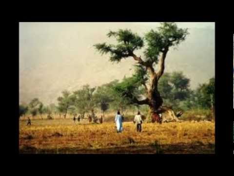 Max ADIOA - Sara VO (album Waxe)