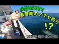 淡路島近海で大型青物現る！？厳寒期のノマセ釣り！！【淡路島 釣り船三幸丸】