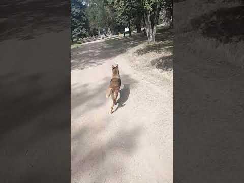 30 de diciembre de 2025