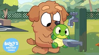 Turtle Boy💙🐢 | Bluey's Bestest Friends - Official Channel