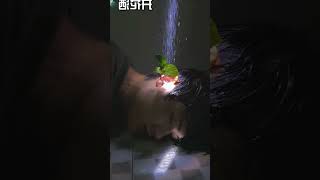 Mobile Photography 👉 Beginner Photography Tip You'll Love! Part 49