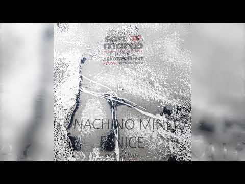 Intonachino Minerale Fenice