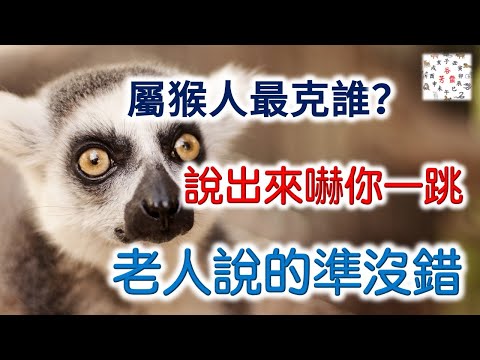 生肖猴 和什么不合