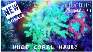 Huge Coral Haul! Tank Update #13