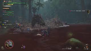 [PS5]モンハンワイルズ　神お守りを求めて　参加型