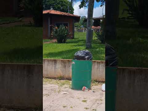 البرازيل الجميلة ❤️🇧🇷 #brasil #saopaulo #avare #aguasdesantabarbara