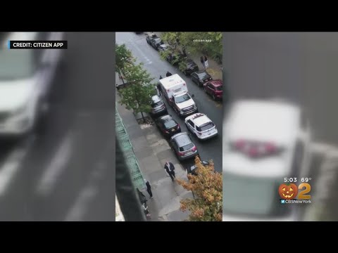 14-Year-Old Shot In The Bronx