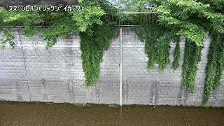 すずしろ橋映像監視局