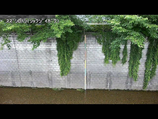 すずしろ橋映像監視局