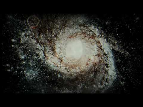 Hasley - New Amerikana