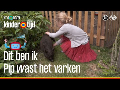 , title : 'Pip wast haar varken 🐷🐷 (Kindertijd KRO-NCRV)'