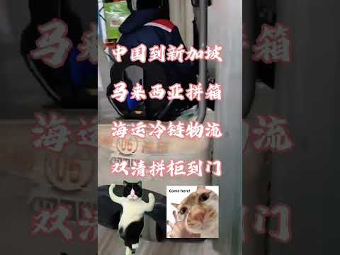 冷冻食品直送新加坡马来西亚，&mdash;18度全程运输➕合规清关