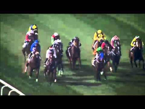 Watch Amber Sky (Exceed And Excel) win the G1  Al Quoz Sprint at Meydan, Dubai, 2014