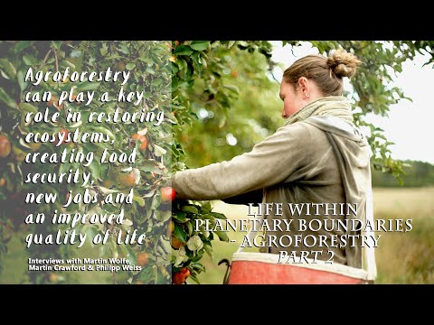 Agroforestry in UK & Sweden - with Philipp Weiss, Martin Wolfe, Martin Crawford, Johanna Björklund