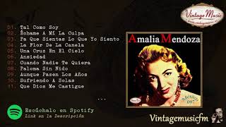 Download lagu Amalia Mendoza Rancheras Colección Mexico 97... mp3