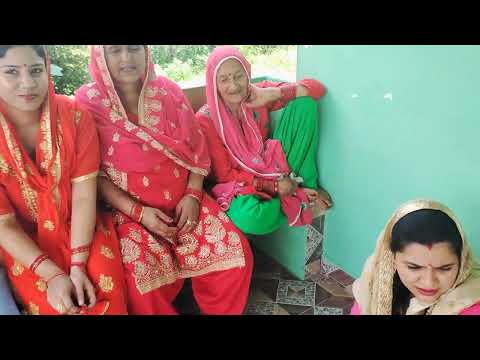 cute baby dance #himachalisong #family #trending #celebration #fun #babygirl #love