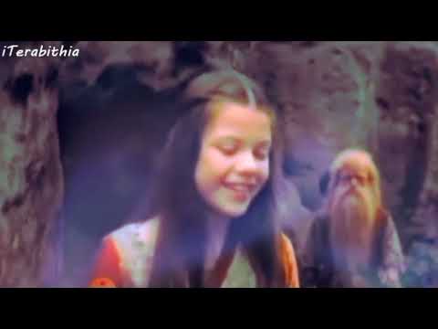 Edmund x Lucy x Peter