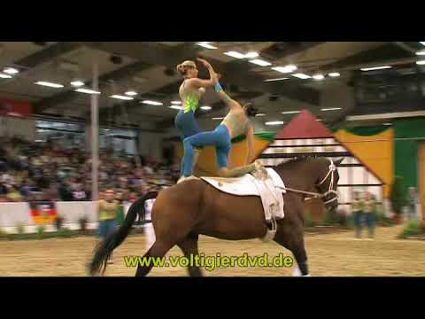 DVM 2013   Gruppen 12   Filsum I