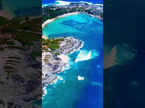 Praia 🌴 🏖 Ilha de Santo Aleixo Sirinhaém Recife Pernambuco shorts
