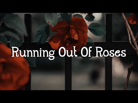 Alan Walker x Jamie Miller - Running Out of Roses (Lyrics)