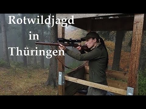 Jagd auf Rotwild in Thüringen