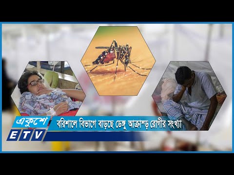 বরিশাল বিভাগে বাড়ছে ডেঙ্গু আক্রান্ত রোগীর সংখ্যা | ETV News