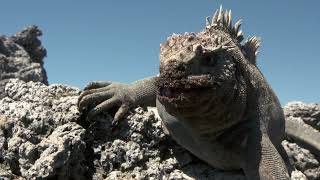 Earth -The Nature Of Our Planet :  Land