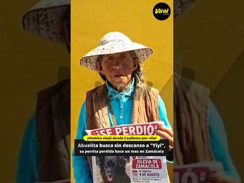 Arequipa: abuelita viajó desde Caylloma para buscar a su perrita perdida desde hace un mes