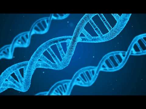 Lio Q & Nicolas Leonelli: Simbiotyc (Marcelo PM Remix)