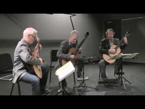 'Rain' by Michalis Andronikou, performed by the Oberon Guitar Trio