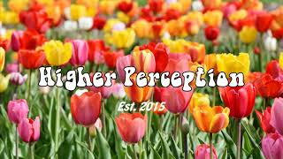 Mandalay - Flowers Bloom (PFM Secret Lover Mix)