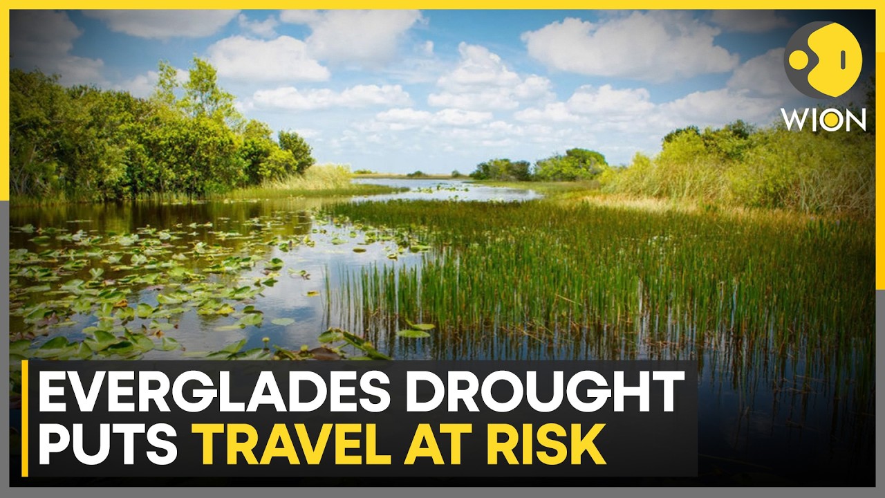 Florida Drought: Everglades Drying Out to Florida Drought | Mid-April Water Level Hit Everglades