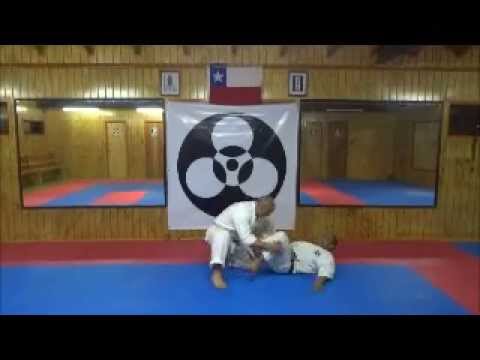 Isshin Ryu Shinshinkan / Defense