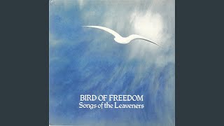 Bird of Freedom