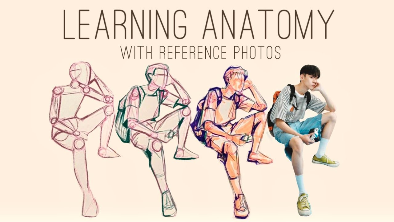 Learning anatomy with reference photos