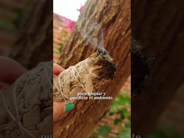 Vídeo relacionado con Scentorini Juego de regalo de varillas de incienso, 120 varillas con soporte, salvia blanca, canela, sándalo, rosa, pachulí, para relajación, yoga y aromaterapia