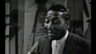 Muddy Waters - Got My Mojo Working