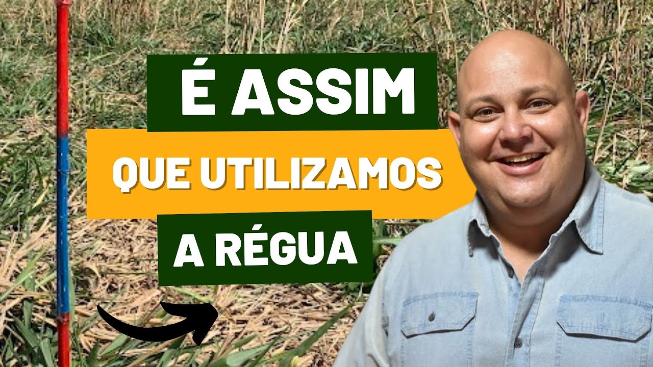 É ASSIM QUE UTILIZAMOS A RÉGUA DE MANEJO DE ALTURA DE DOS PASTOS | PROF. MARCELO COSTA