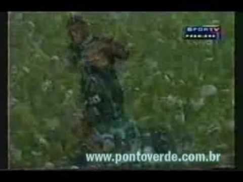 RIO SAO PAULO 2002 - PALMEIRAS 4 X 2 SAO PAULO