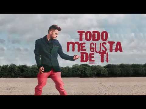 TODO ME GUSTA DE TI ( Official Video Lyrics )