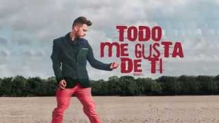 TODO ME GUSTA DE TI ( Official Video Lyrics )