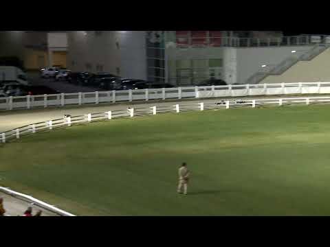 2021.11.05. 07. futam - Kölyök Derby